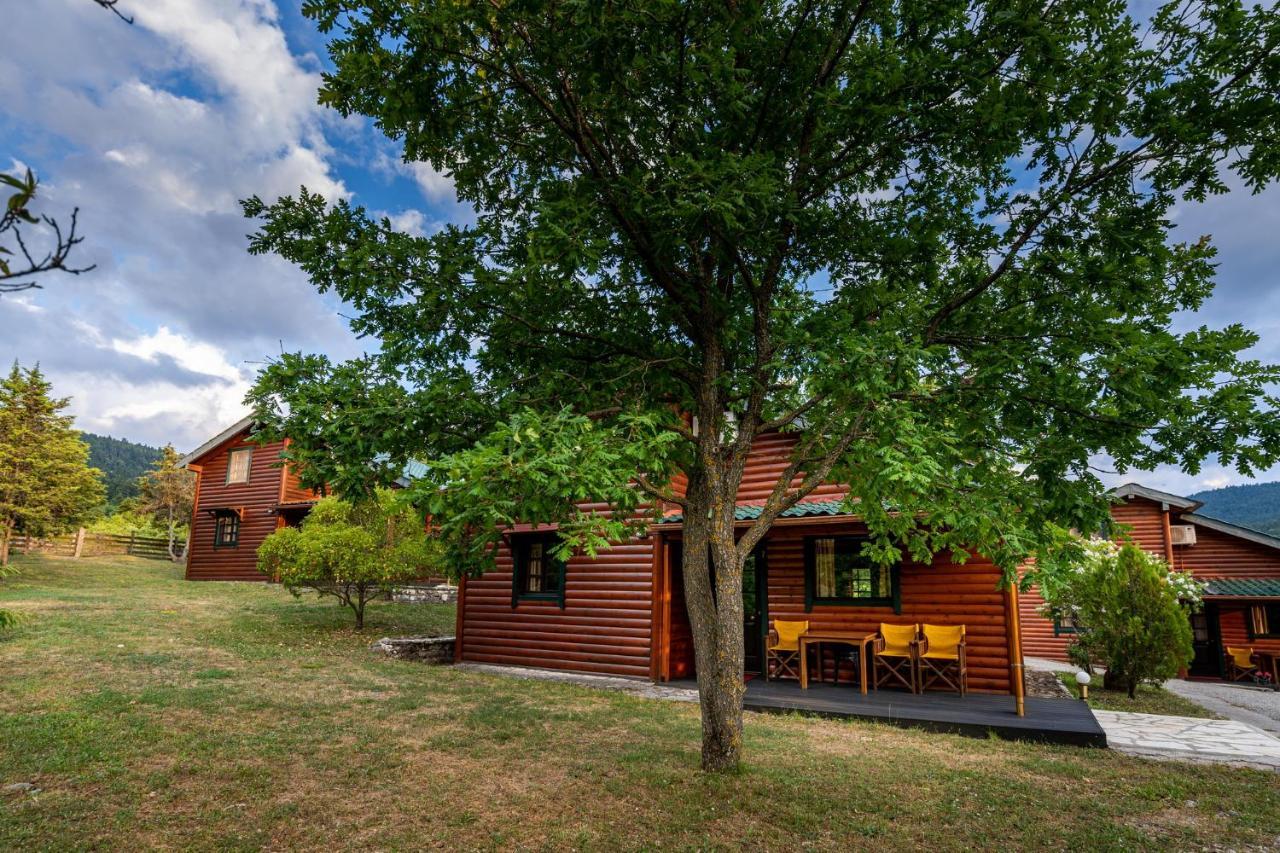 Likouresi Village 2* Karpenísion
